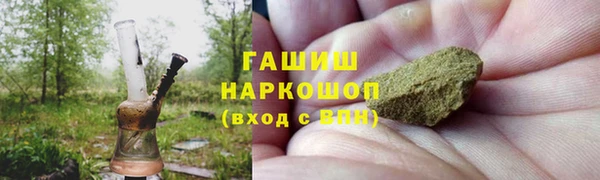 шишки Горнозаводск