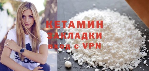 дживик Няндома