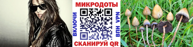 маркетплейс состав  Сорск  Псилоцибиновые грибы Cubensis 