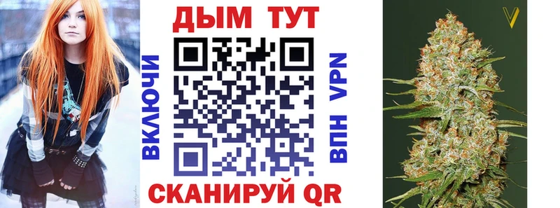 hydra ссылка  Сорск  Марихуана сатива 